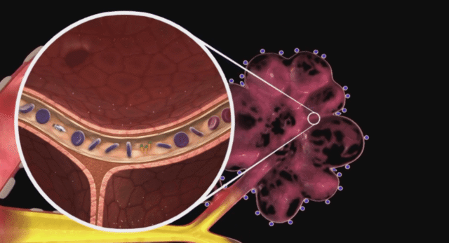 Screen Shot 2021-10-31 at 8.55.22 PM