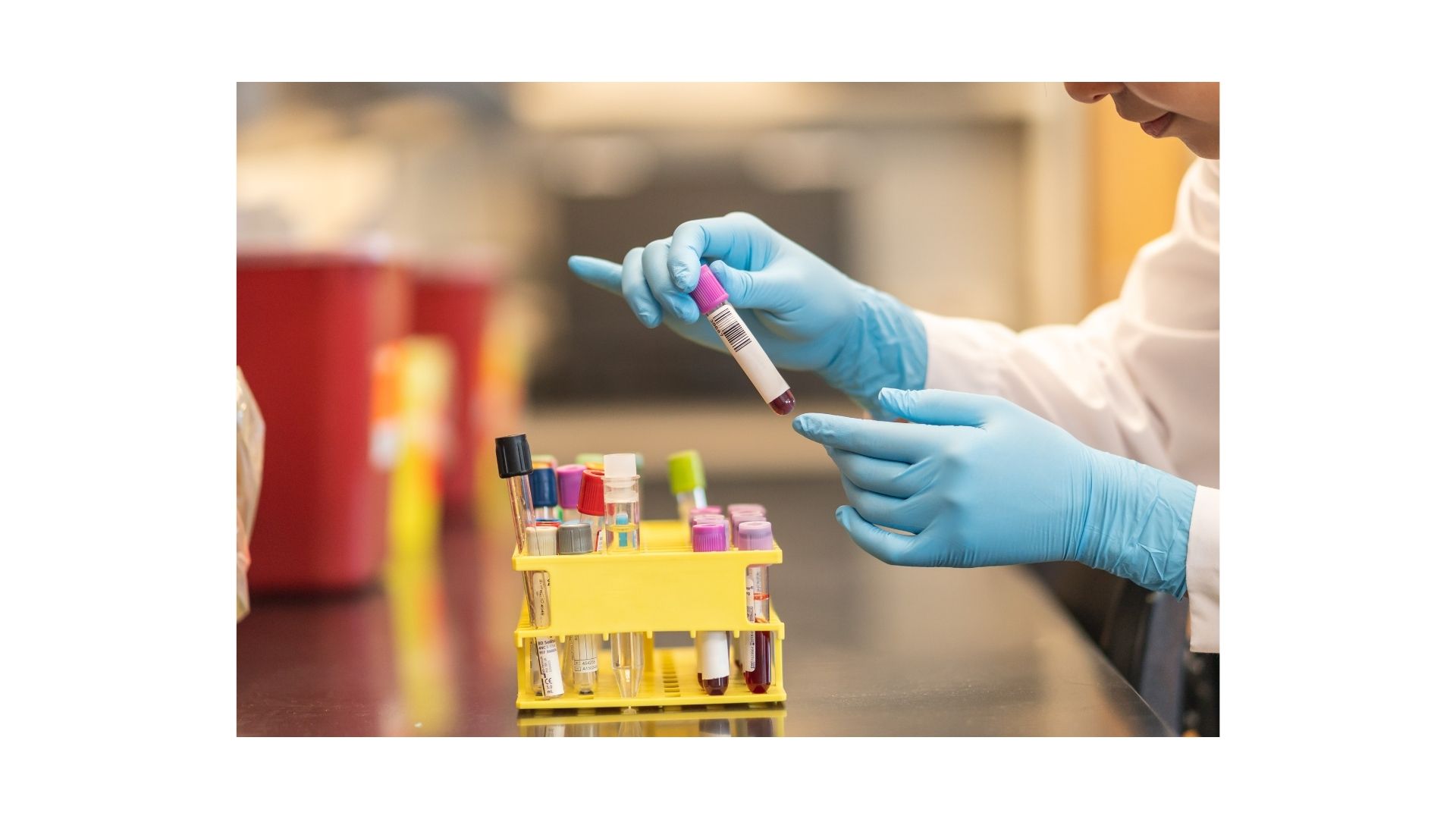 Phlebotomy Pre-Apprentice Journey